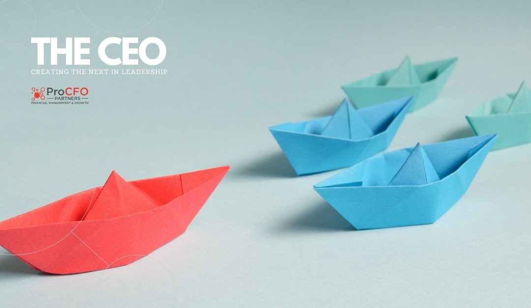 The CEO: Creating The Next in Leadership
