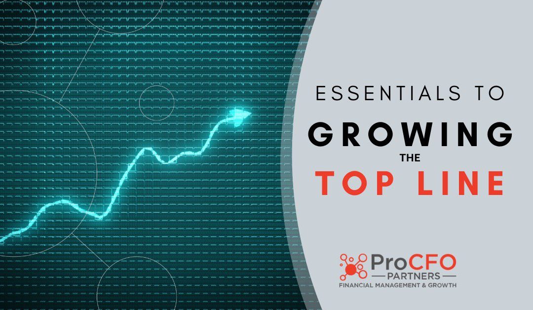 How to Improve Top Line Growth In Business