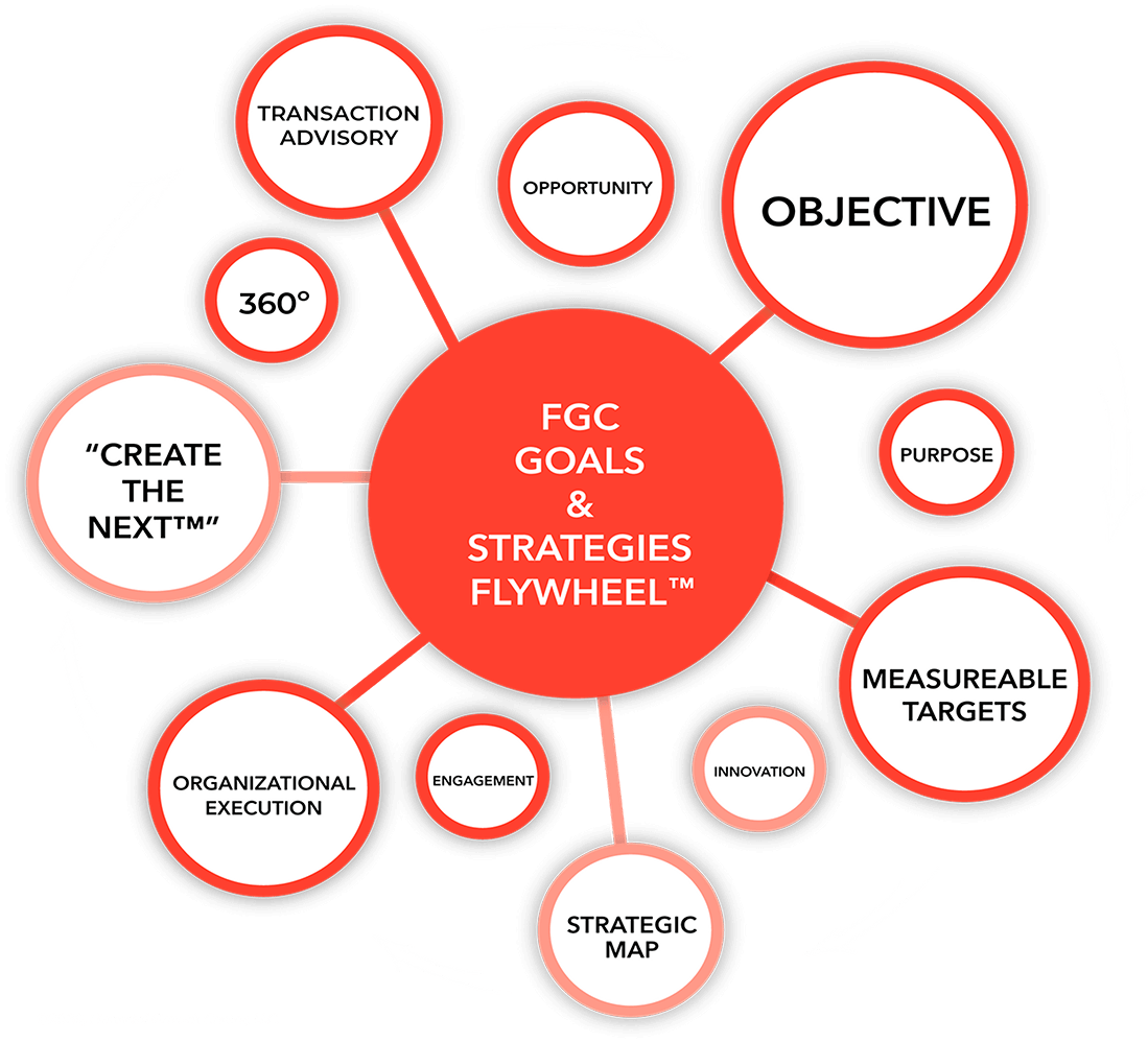 CFO Goals And Performance Objectives ProCFO