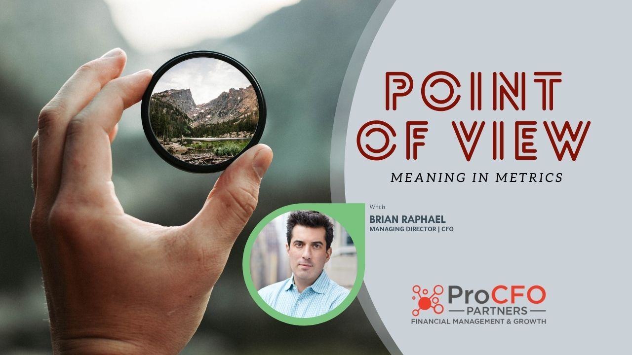 ProCFO Partners Meaning in Metrics Podcast Brian Raphael