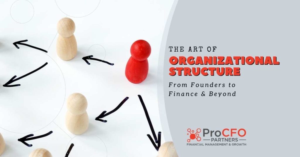 Understand organizational structure from ProCFO Partners