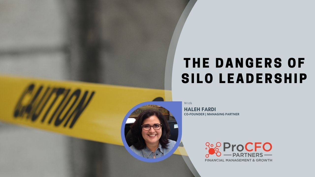 The dangers of siloed leadership from ProCFO Partners