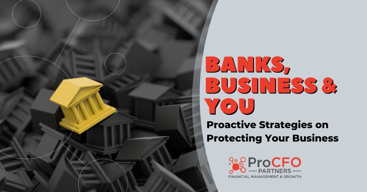 Banks, Business & You offers sound advice for success from ProCFO Partners