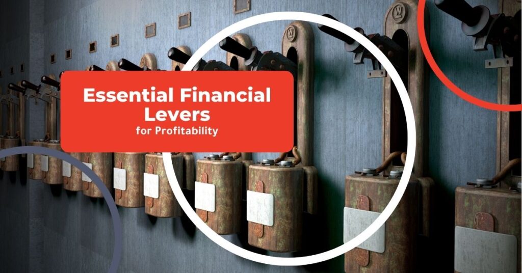 Explore essential financial levers for profitability. Learn how to navigate sales, COGS, and operational metrics to improve your business's financial health. ProCFO Partners post